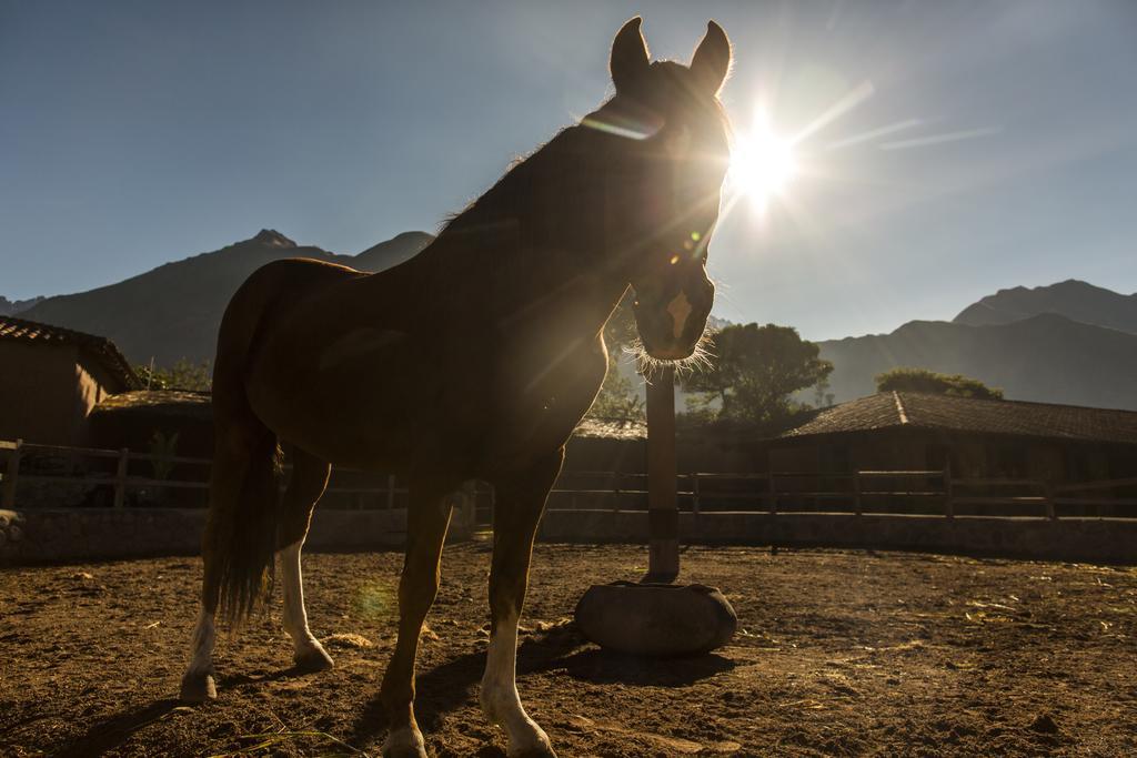 Sol Y Luna - Relais & Chateaux Sacred Valley ภายนอก รูปภาพ